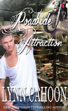 Roadside Attraction (Castle View Series Book 2)