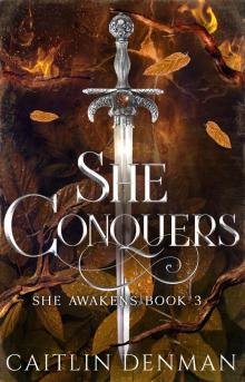 She Conquers She Conquers