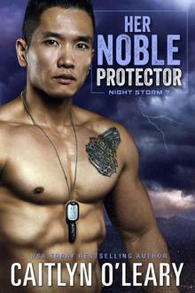 Her Noble Protector: A Navy SEAL Romance (Night Storm Book 7)