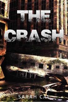 Lights Out (Book 1): The Crash