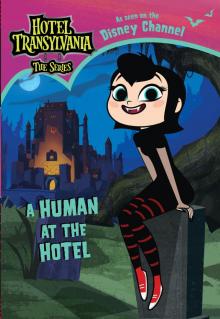 A Human at the Hotel