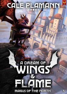 Magus of the North: A LitRPG Adventure (A Dream of Wings & Flame Book 3)