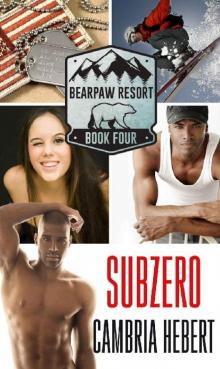 Subzero (BearPaw Resort Book 4)