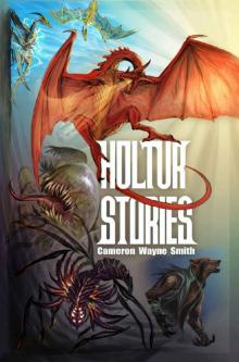 Holtur Stories