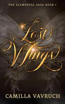The Lost Wings