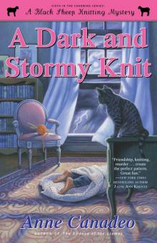 A Dark and Stormy Knit (Black Sheep Knitting Mystery) A Dark and Stormy Knit (Black Sheep Knitting Mystery)