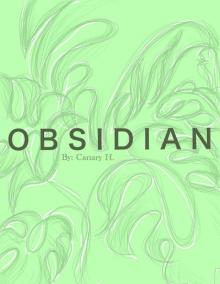 O B S I D I a N