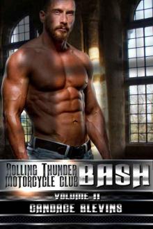 Bash, Volume II Bash, Volume II