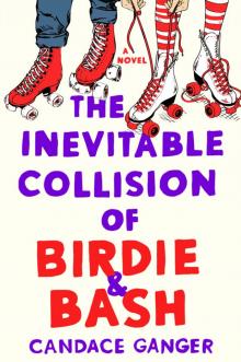 The Inevitable Collision of Birdie & Bash The Inevitable Collision of Birdie & Bash
