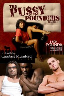 The Pussy Pounders Volume 1 ( A Novella ) The Pussy Pounders Volume 1 ( A Novella )