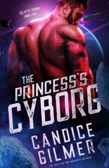 The Princess's Cyborg