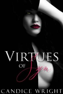 Virtues of Syn: A Phoenix Project Novel (The Phoenix Project Duet)