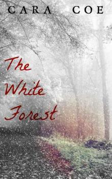 The White Forest (Mages and Kingdoms Book 2)
