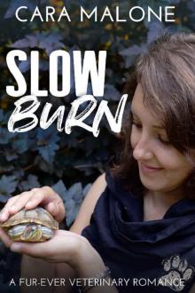 Slow Burn: A Multi-generational Second Chance Romance