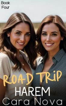 Road Trip Harem: Book Four