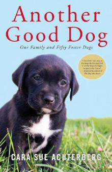 Another Good Dog Another Good Dog