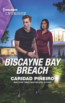 Biscayne Bay Breach