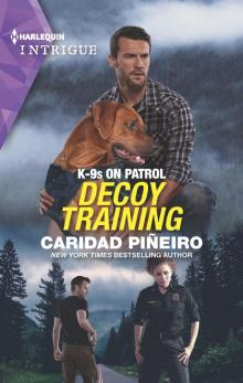 Decoy Training
