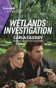 Wetlands Investigation