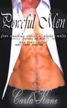 Powerful Men: Four Scorching Stories of Alpha-Males Who Take Control