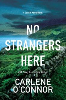 No Strangers Here: a Riveting Dark Irish Mystery