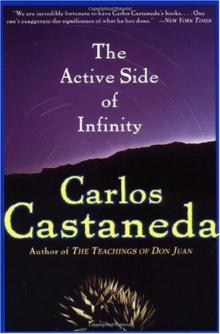 The Active Side of Infinity The Active Side of Infinity