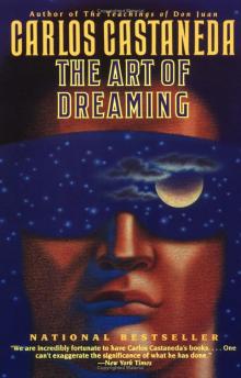 The Art of Dreaming The Art of Dreaming