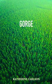 Novels2020-Gorge