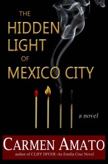 The Hidden Light of Mexico City The Hidden Light of Mexico City