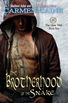 The Brotherhood of the Snake (Return of the Ancients Book 2)