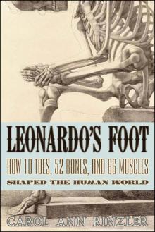 Leonardo's Foot Leonardo's Foot