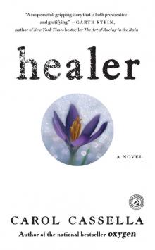 Healer: A Novel