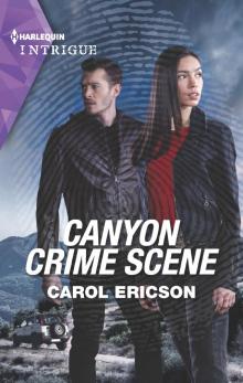 Canyon Crime Scene Canyon Crime Scene