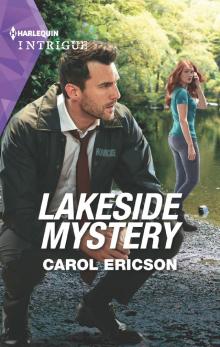 Lakeside Mystery