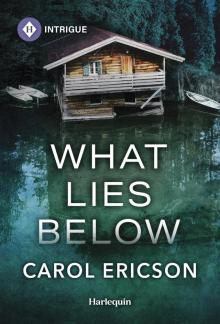 What Lies Below What Lies Below