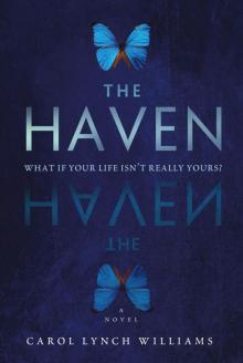 The Haven The Haven
