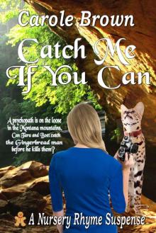 Catch Me If You Can