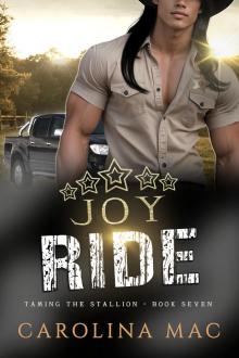 JoyRide (Taming the Stallion Series Book 7)