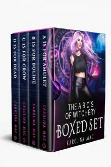 The A B C's of Witchery Boxed Set : Moonbeam Chronicles - Books 1 to 4