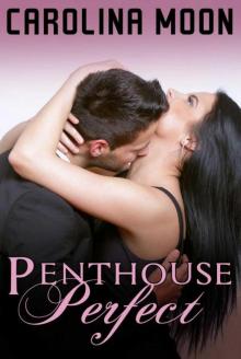 Penthouse Perfect: BBW Erotic Romance