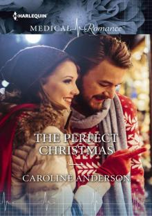 The Perfect Christmas The Perfect Christmas