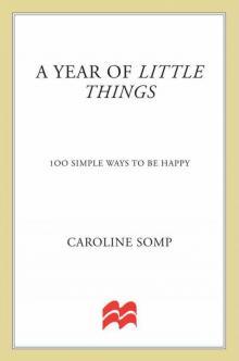 A Year of Little Things