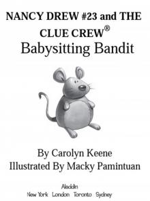 Babysitting Bandit