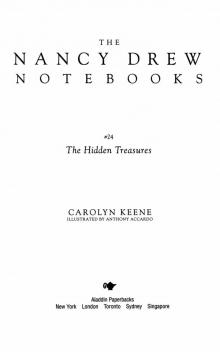 The Hidden Treasures The Hidden Treasures