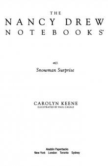 The Snowman Surprise The Snowman Surprise