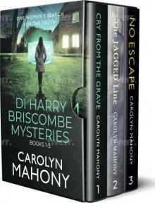 DI Harry Briscombe Mysteries, Books 1-3.