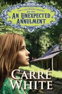 An Unexpected Annulment (The Colorado Brides Series Book 3)