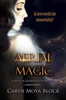 Aerial Magic (Witch Guardian Romance Book 2)