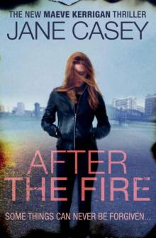 After the Fire (Maeve Kerrigan)