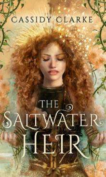 The Saltwater Heir